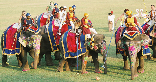 Elephant Polo in Rajasthan, India