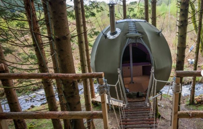 Glamping in Red Kite Tree