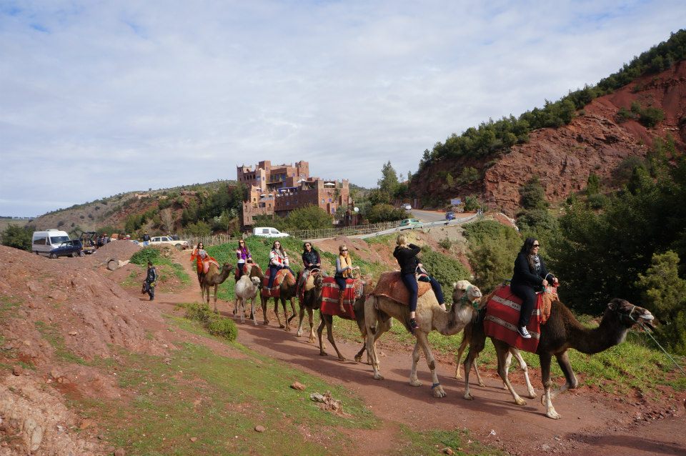 Camel Ride in The Atlas Mountains in Morocco