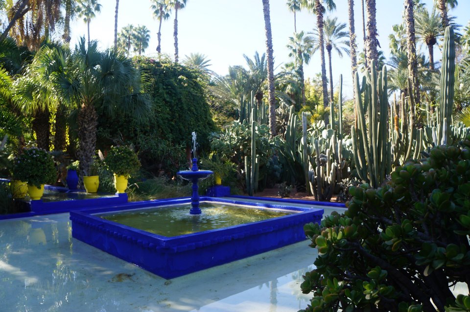 Jardin Majorelle