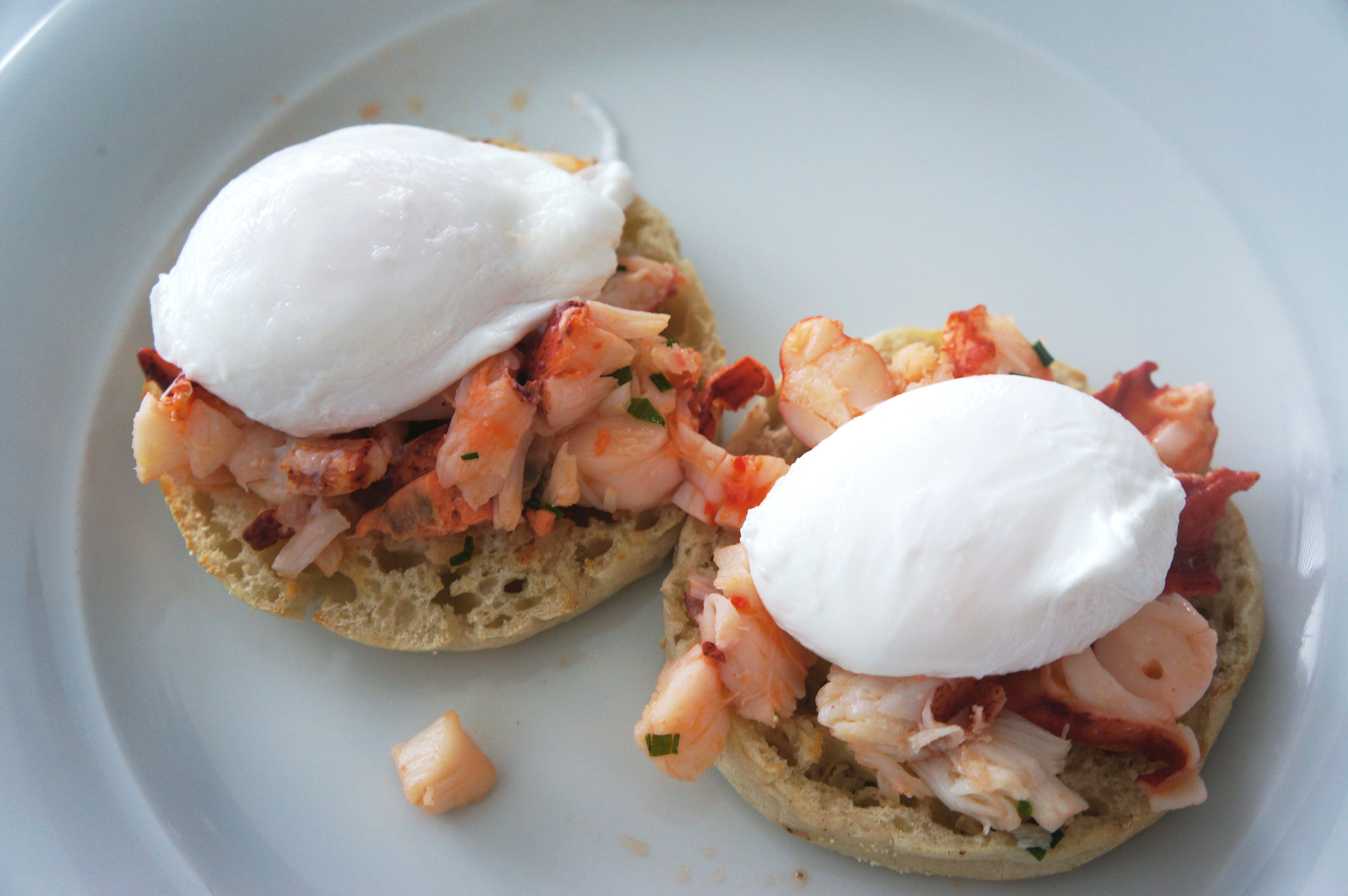 lobster eggs Benedict