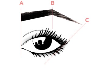 Brow Diagram, Guide to the Perfect Brow