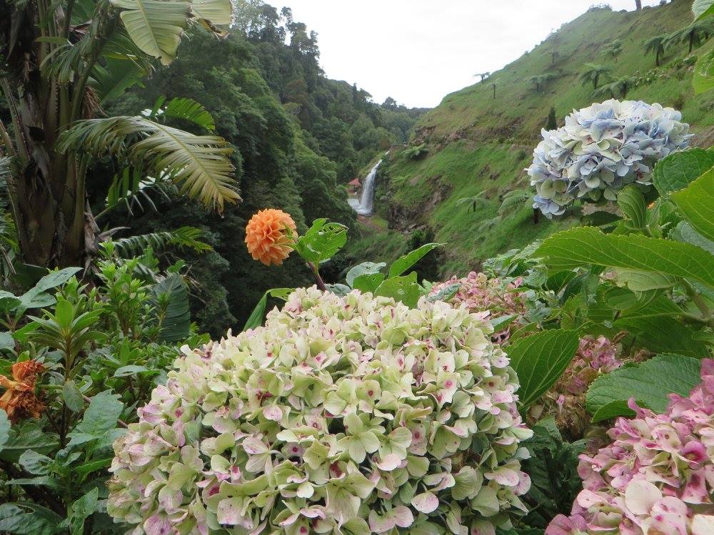 azores - riberia dos caldeiros