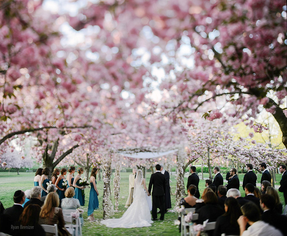 brooklyn-botanic-gardens-palm-house-wedding-11