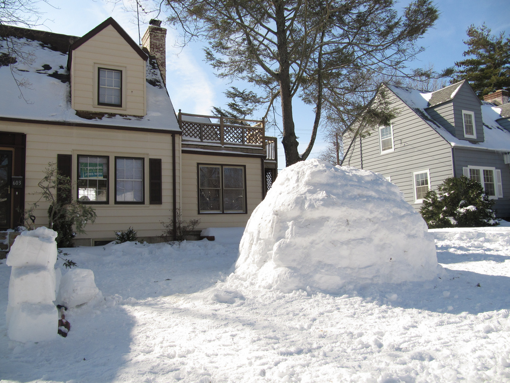 Progress Street Igloos