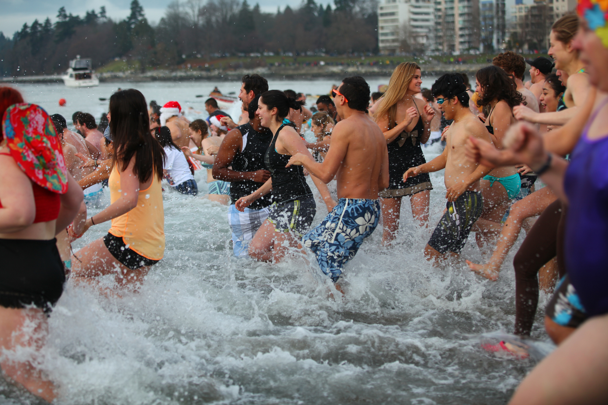 Polar Bear Swim