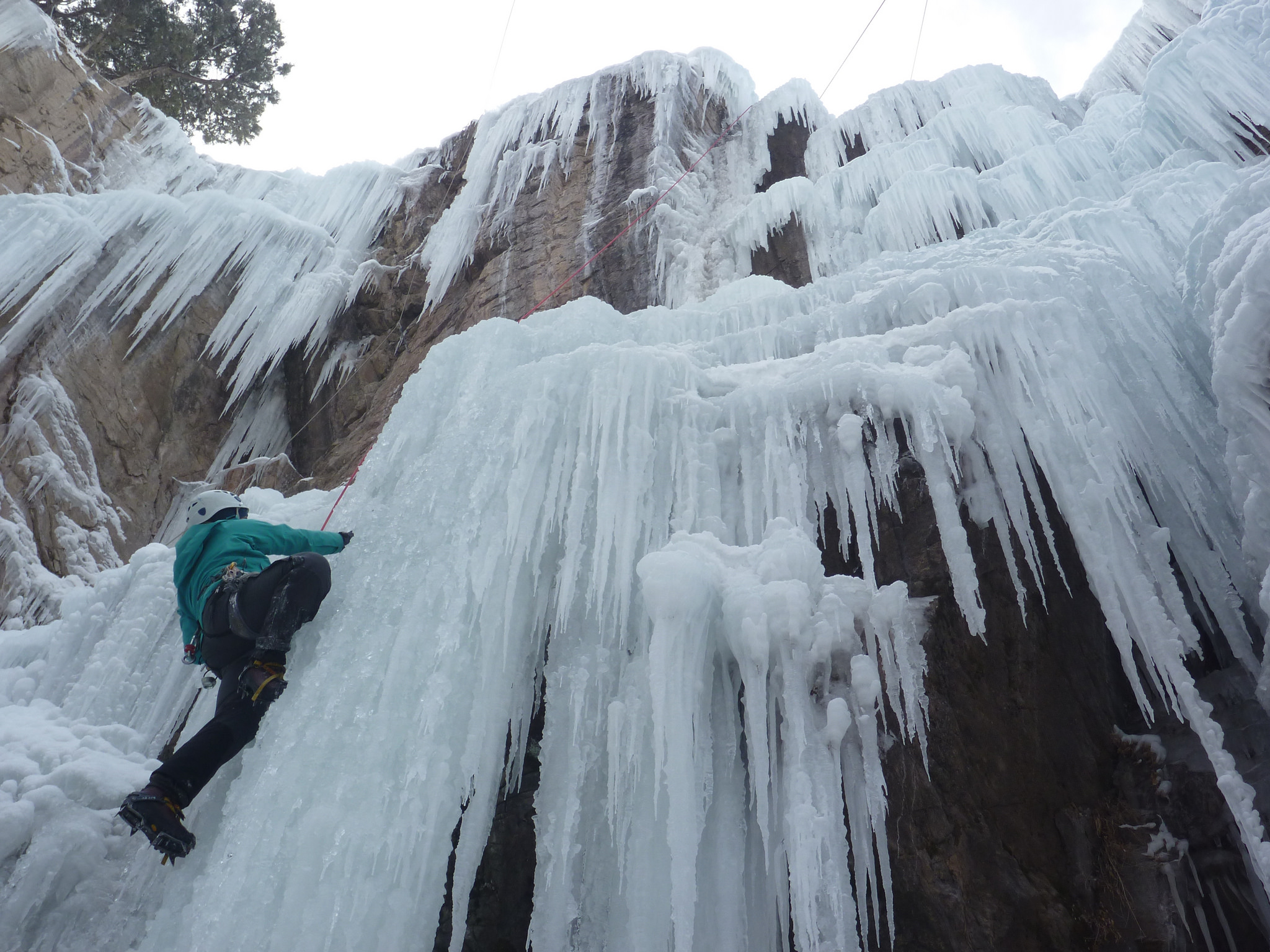 Ice Climbing on freshly farmed ice in the Scottish Guilles, By Lauren F