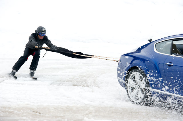 Skijoring with Bentley