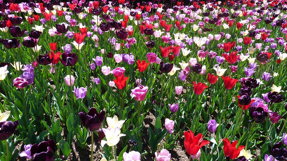 Jefferson Market Garden For A Digital Detox