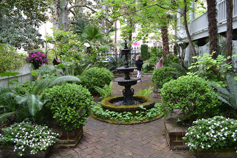 Savannah For A Digital Detox