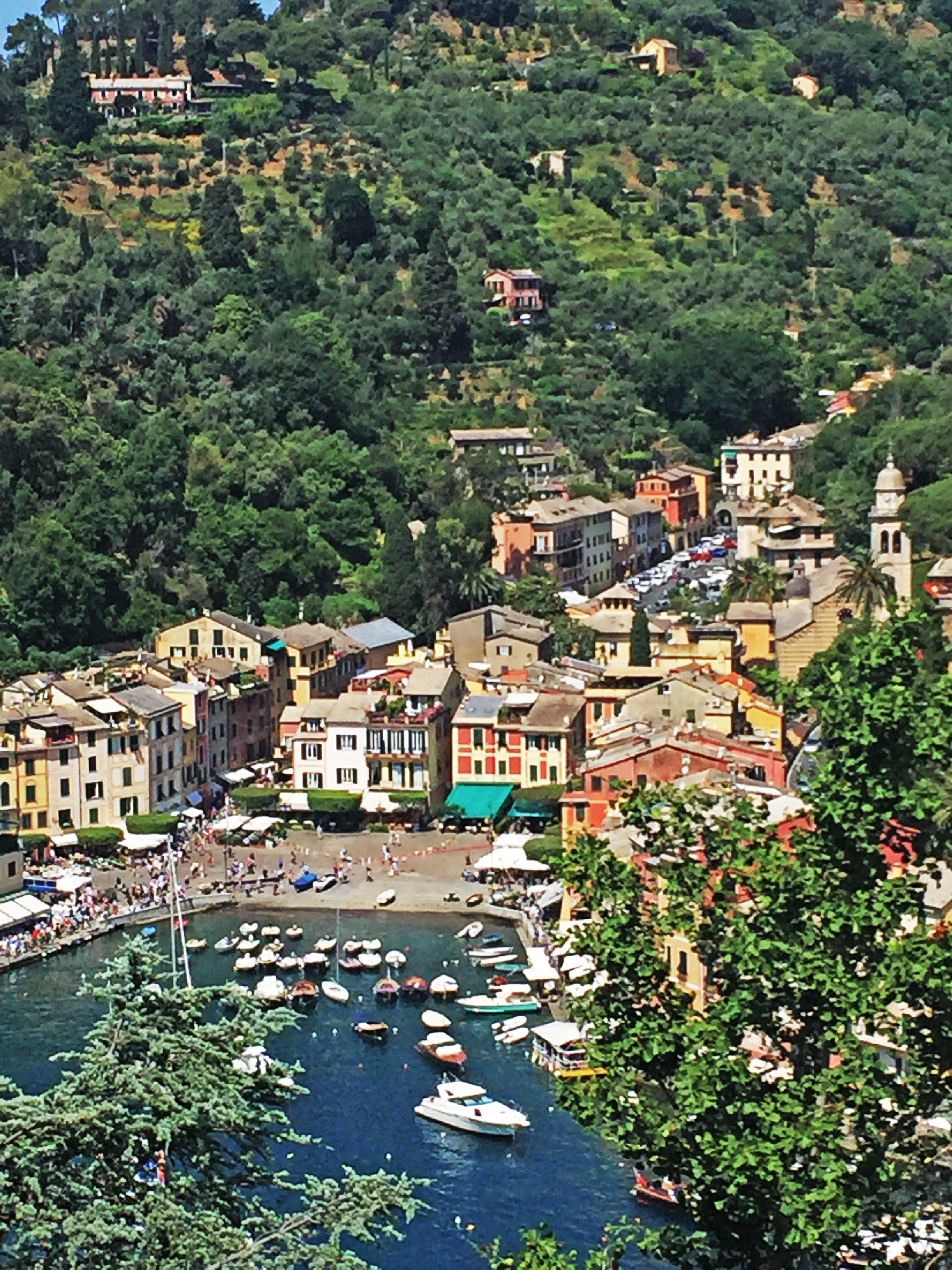 Portofino Harbour Views