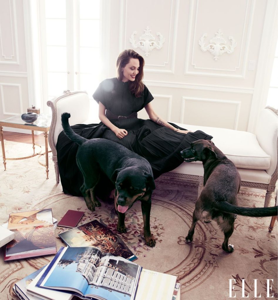 Angelina Jolie with her dogs, a Rottweiler and a pit mix chosen as puppies from a shelter by her eldest sons.